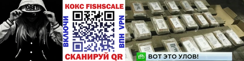 продажа наркотиков  OMG ССЫЛКА  COCAIN FishScale  Вязьма 
