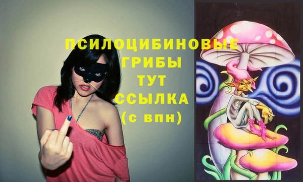a pvp Баксан