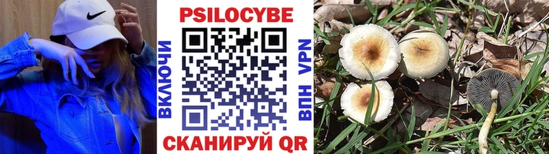 цены наркотик  Вязьма  OMG ссылки  Галлюциногенные грибы MAGIC MUSHROOMS 