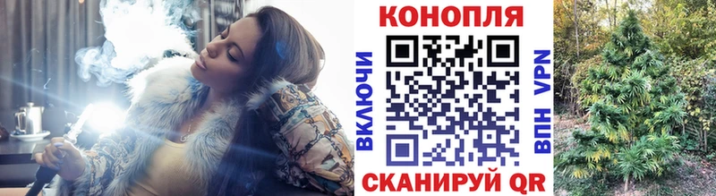 Шишки марихуана планчик Вязьма